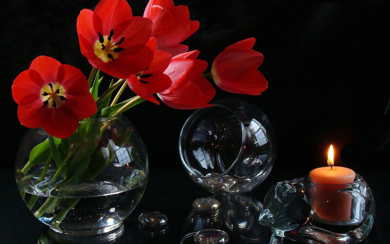 Red Tulips in Vase — Dramatic, Night, Photograph, Candle