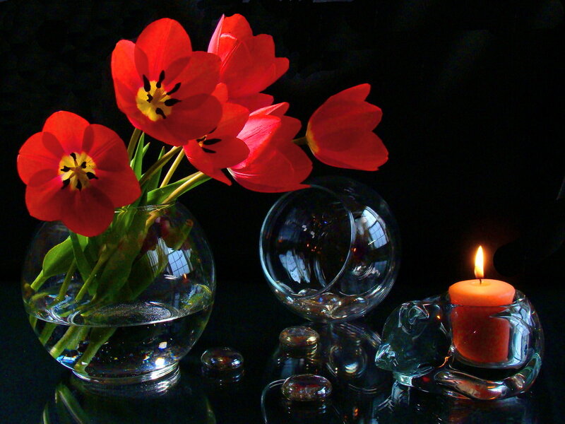 Red Tulips in Vase — Dramatic, Night, Photograph