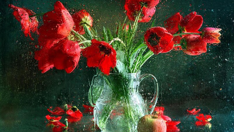 Red Tulips in Vase — Dramatic, Photograph, Apple, Raindrops