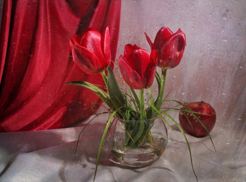 Red Tulips in Vase — Dramatic, Photograph, Apple
