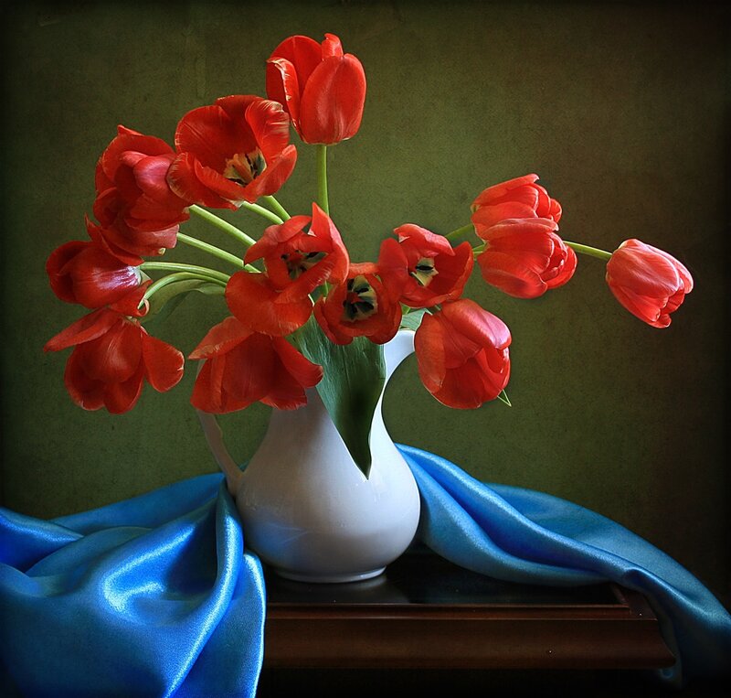 Red Tulips in Vase — Dramatic, Photograph, Blue Cloth