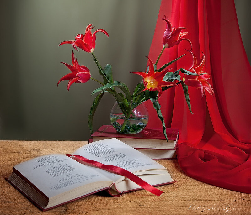Red Tulips in Vase — Dramatic, Photograph, Book, Curtain