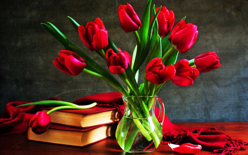 Red Tulips in Vase — Dramatic, Photograph, Books, Cloth