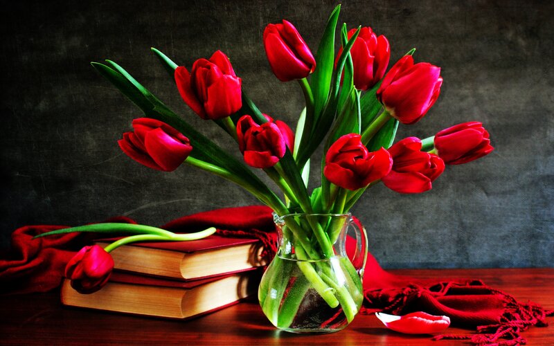 Red Tulips in Vase — Dramatic, Photograph, Books, Scarf