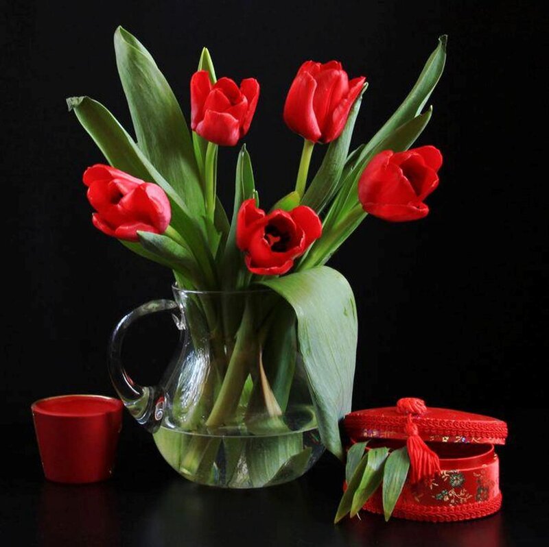 Red Tulips in Vase — Dramatic, Photograph, Box