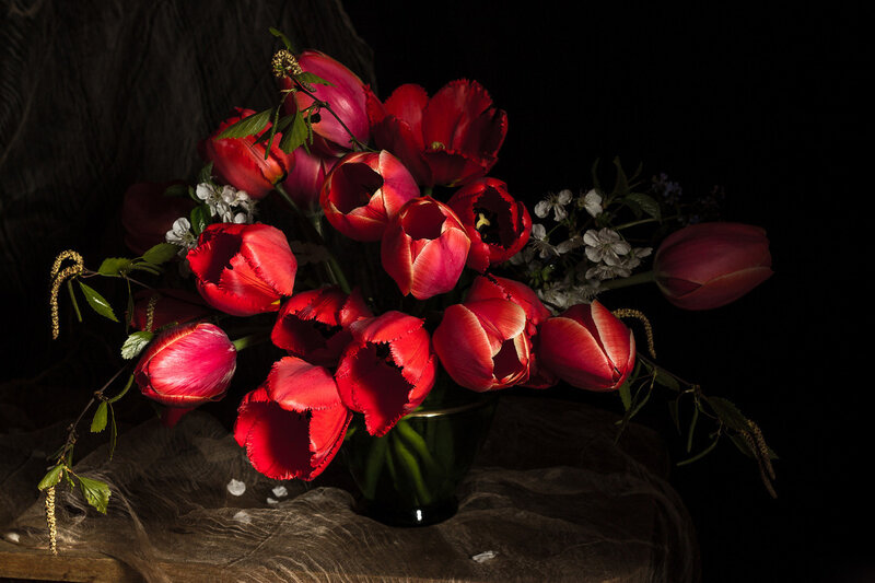 Red Tulips in Vase — Dramatic, Photograph, Flowers, Leaves