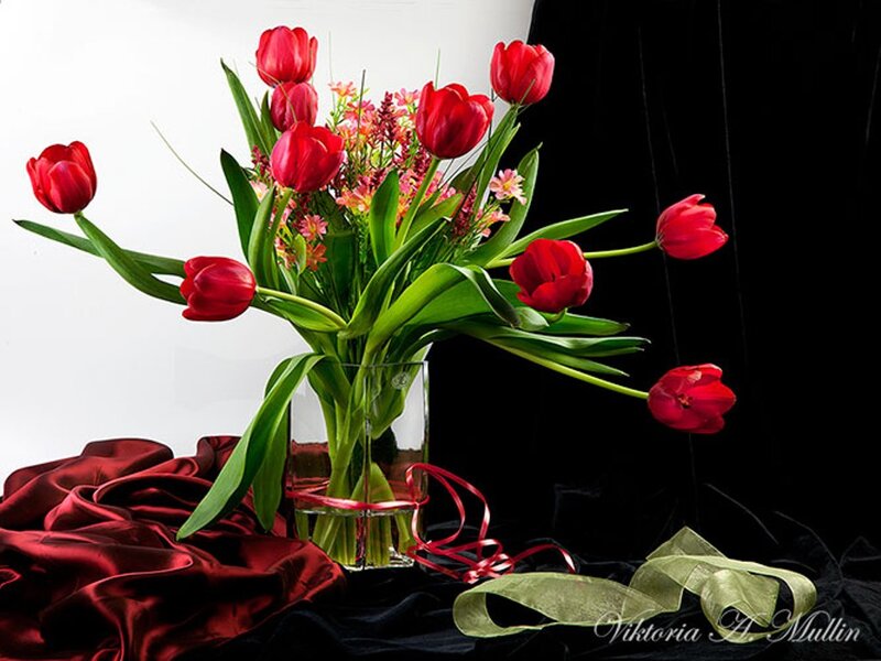 Red Tulips in Vase — Dramatic, Photograph, Flowers