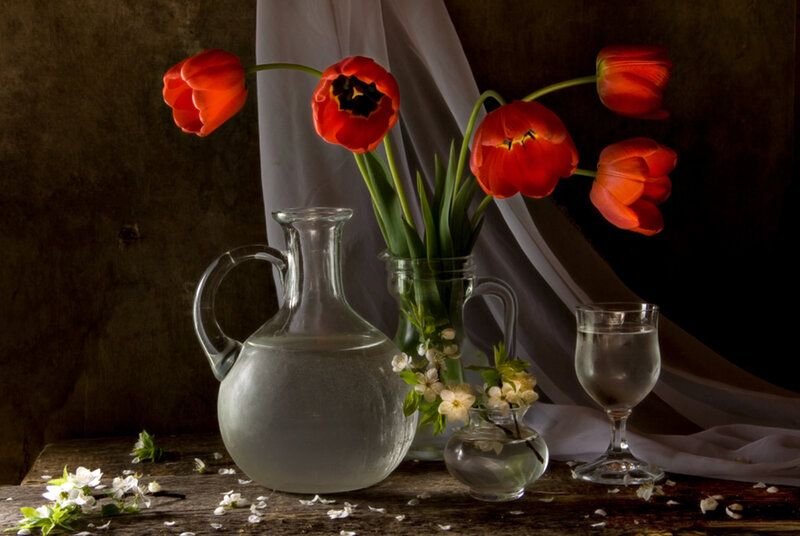 Red Tulips in Vase — Dramatic, Photograph, Glass Pitcher