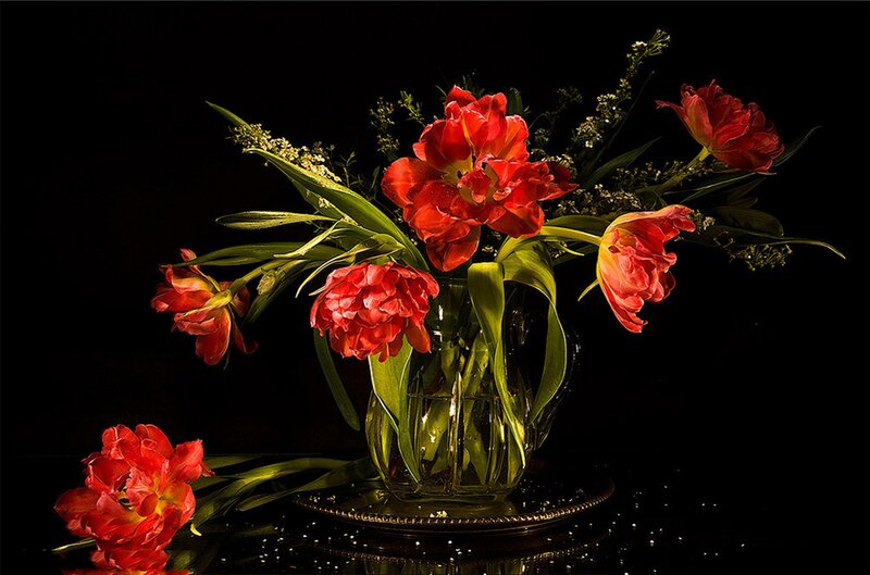 Red Tulips in Vase — Dramatic, Photograph, Leaves, Tray
