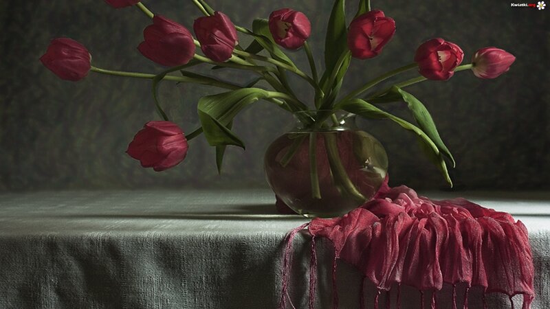 Red Tulips in Vase — Dramatic, Photograph, Scarf