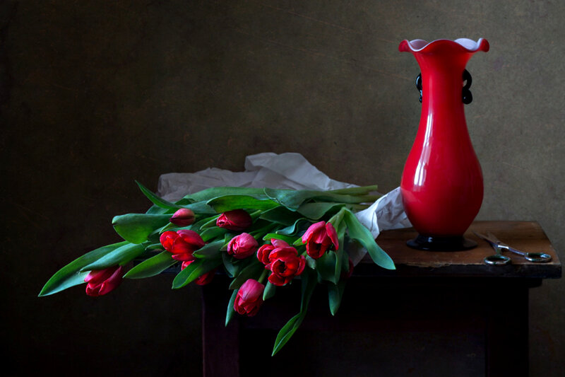 Red Tulips in Vase — Dramatic, Photograph, Scissors