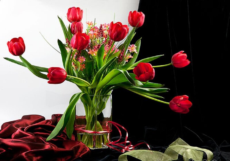 Red Tulips in Vase — Dramatic, Photograph, Silk Fabric