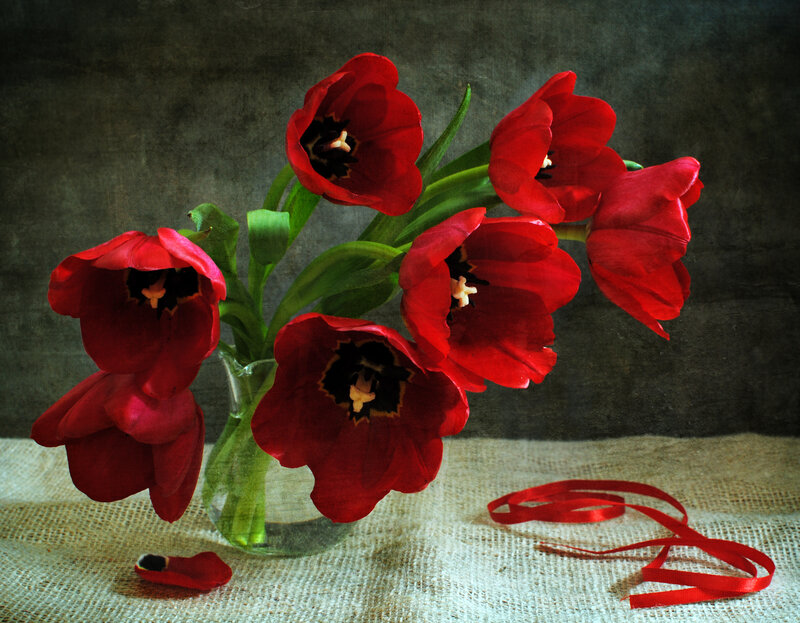 Red Tulips in Vase — Dramatic, Photograph