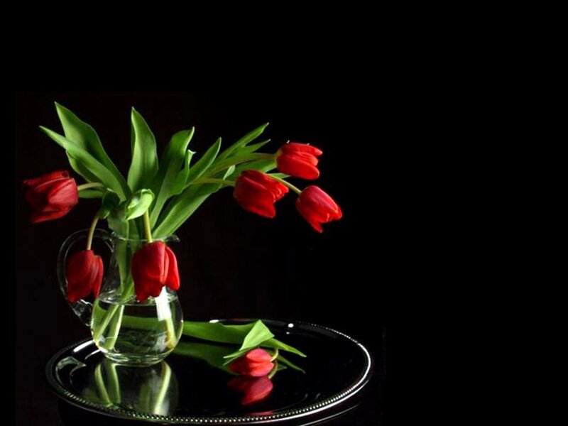 Red Tulips in Vase — Dramatic, Photograph, Tray, Leaves