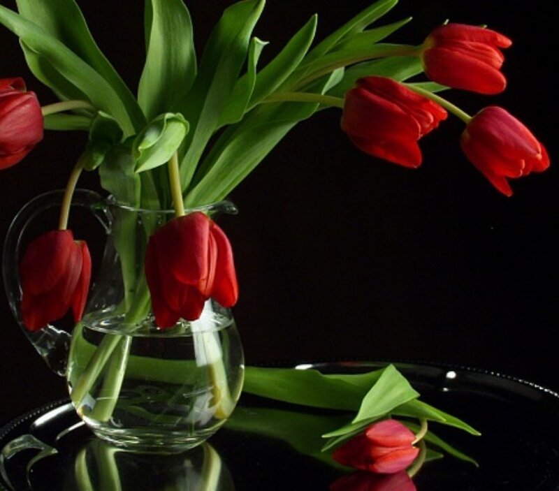 Red Tulips in Vase — Dramatic, Photograph, Tray
