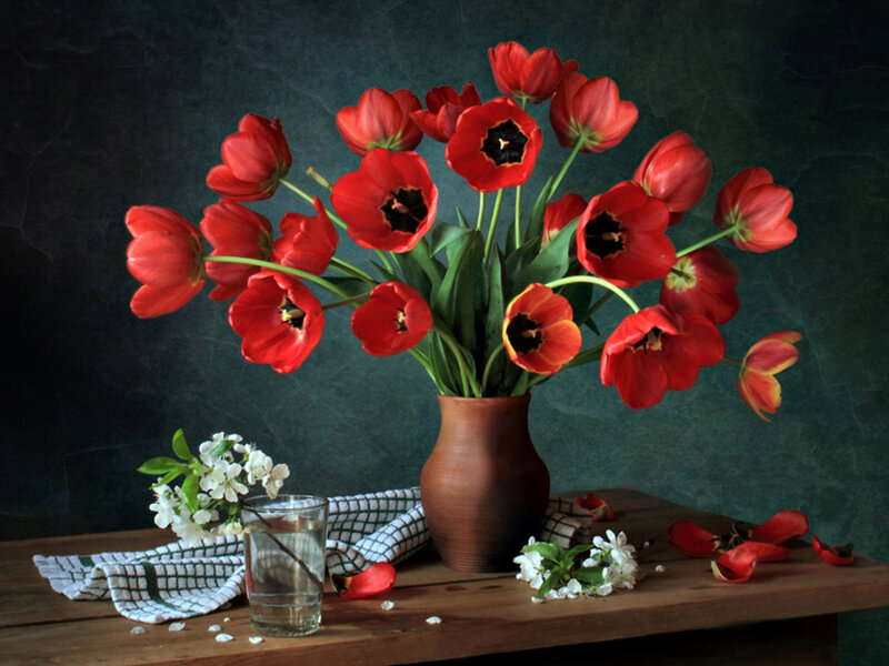 Red Tulips in Vase — Dramatic, Photograph, White Flowers