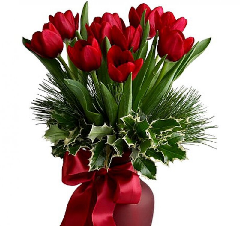 Red Tulips in Vase — Festive, Winter