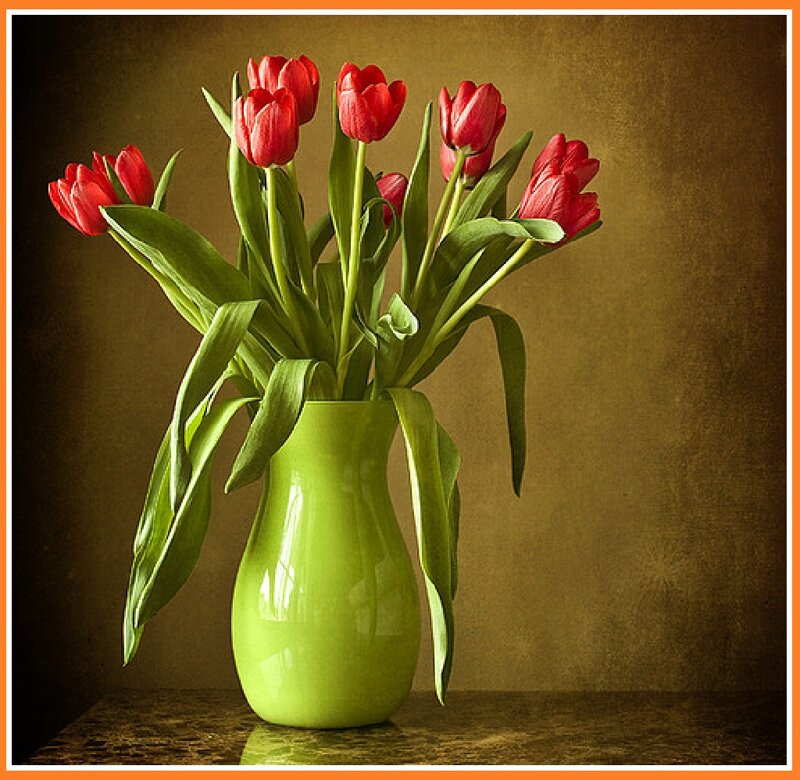 Red Tulips in Vase — Green, Calm