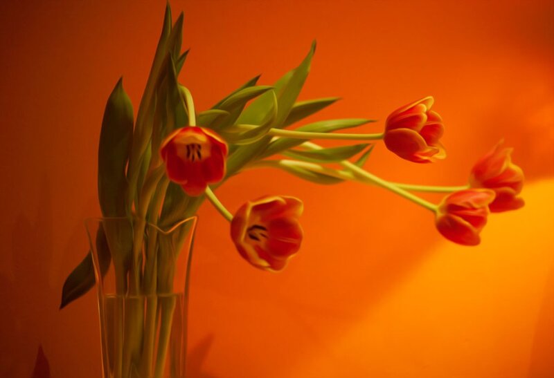 Red Tulips in Vase — Orange