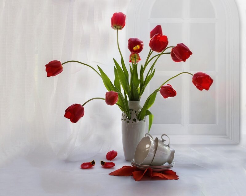 Red Tulips in Vase — Serene, Morning, Photograph, Teacups