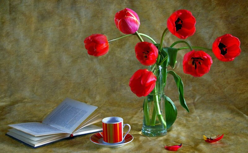 Red Tulips in Vase — Serene, Photograph, Book