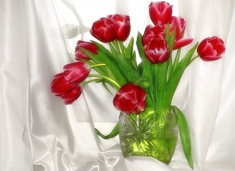 Red Tulips in Vase — Serene, Photograph