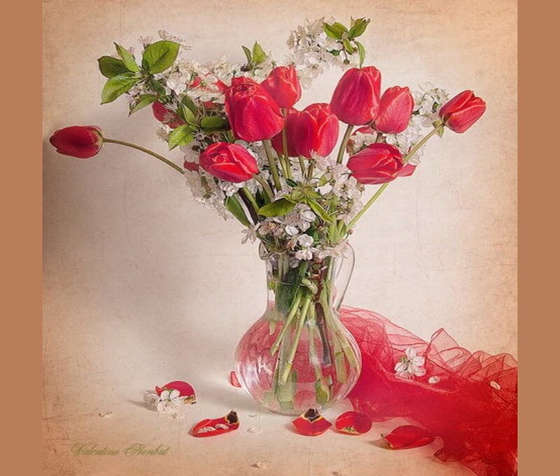 Red Tulips in Vase — Serene, Spring