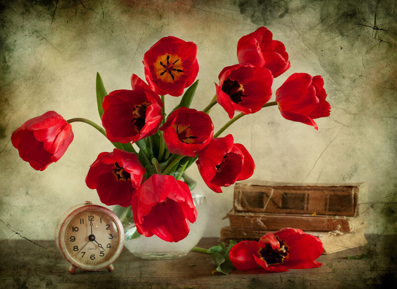 Red Tulips in Vase — Still Life