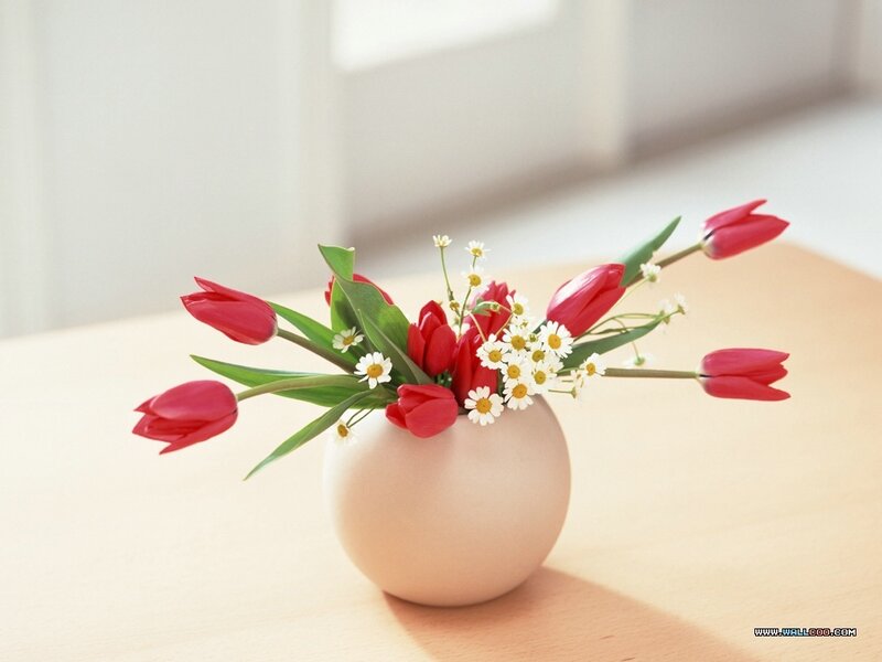 Red Tulips in Vase