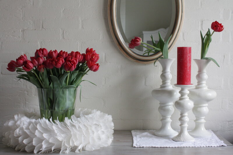 Red Tulips in Vase — White, Calm, Photograph