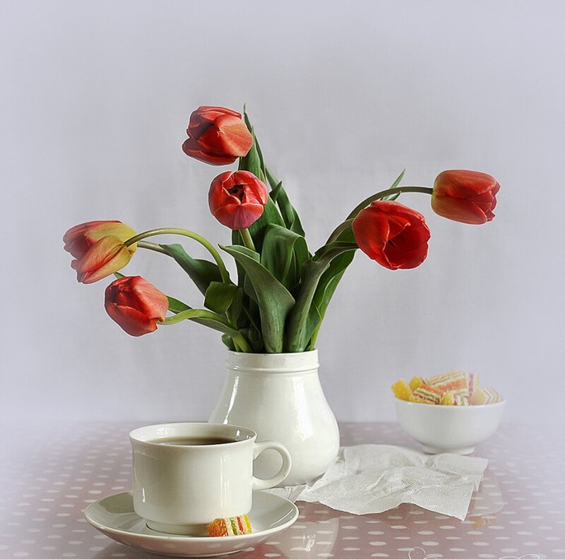 Red Tulips in Vase — White, Calm