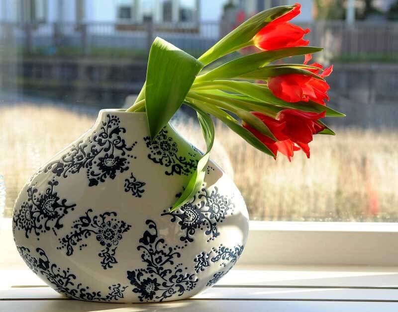 Red Tulips in Vase — White
