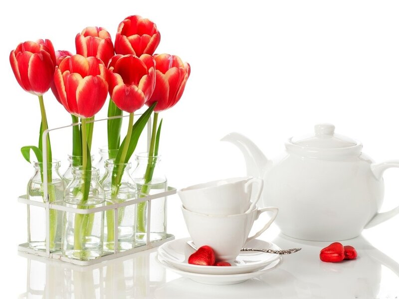Red Tulips in Vases — White