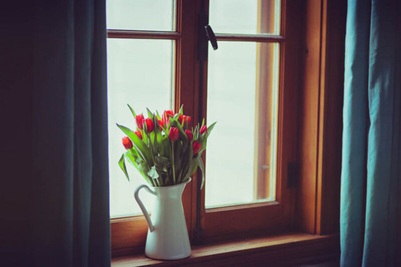 Red Tulips in White Pitcher — Serene