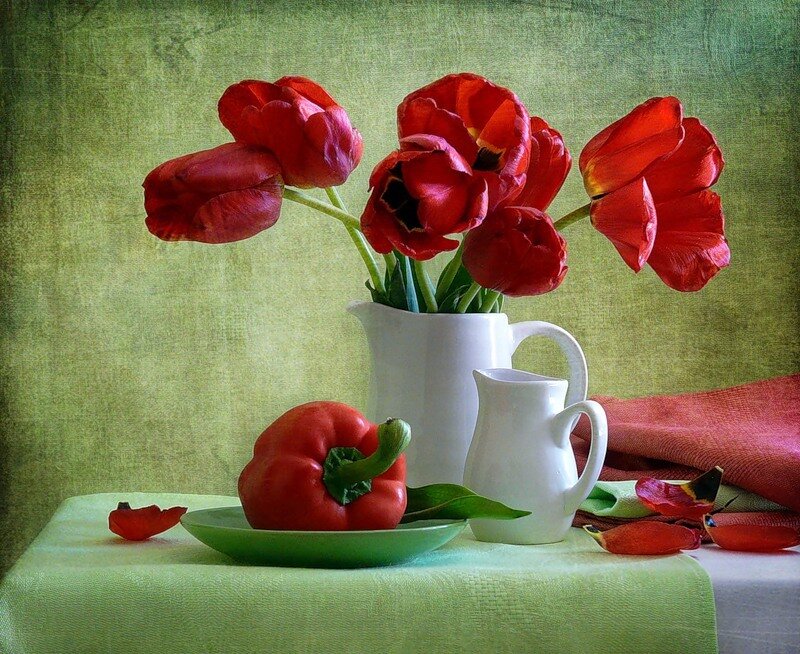 Red Tulips in White Pitcher