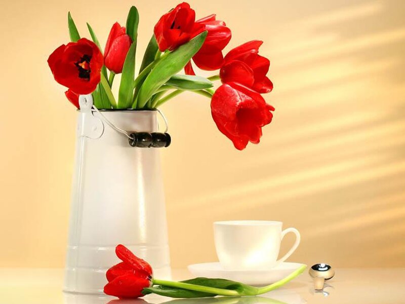 Red Tulips in White Vase