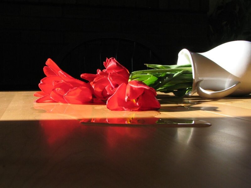 Red tulips on a wooden table