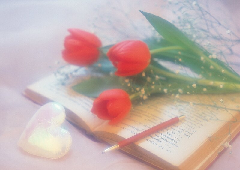 Red Tulips on Book — Serene