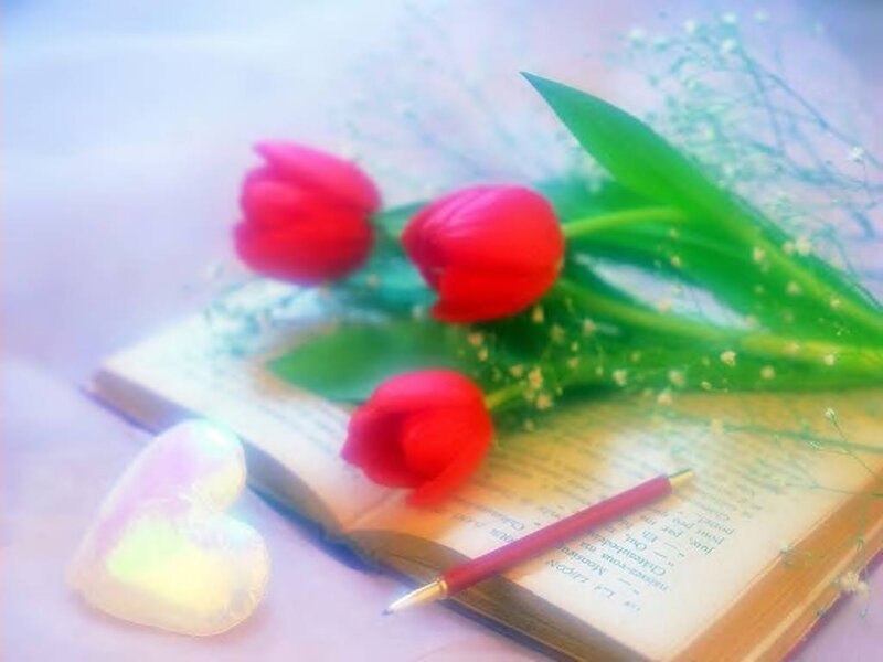 Red Tulips on Book