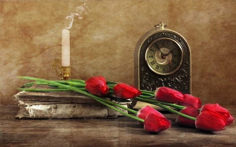 Red Tulips on Books