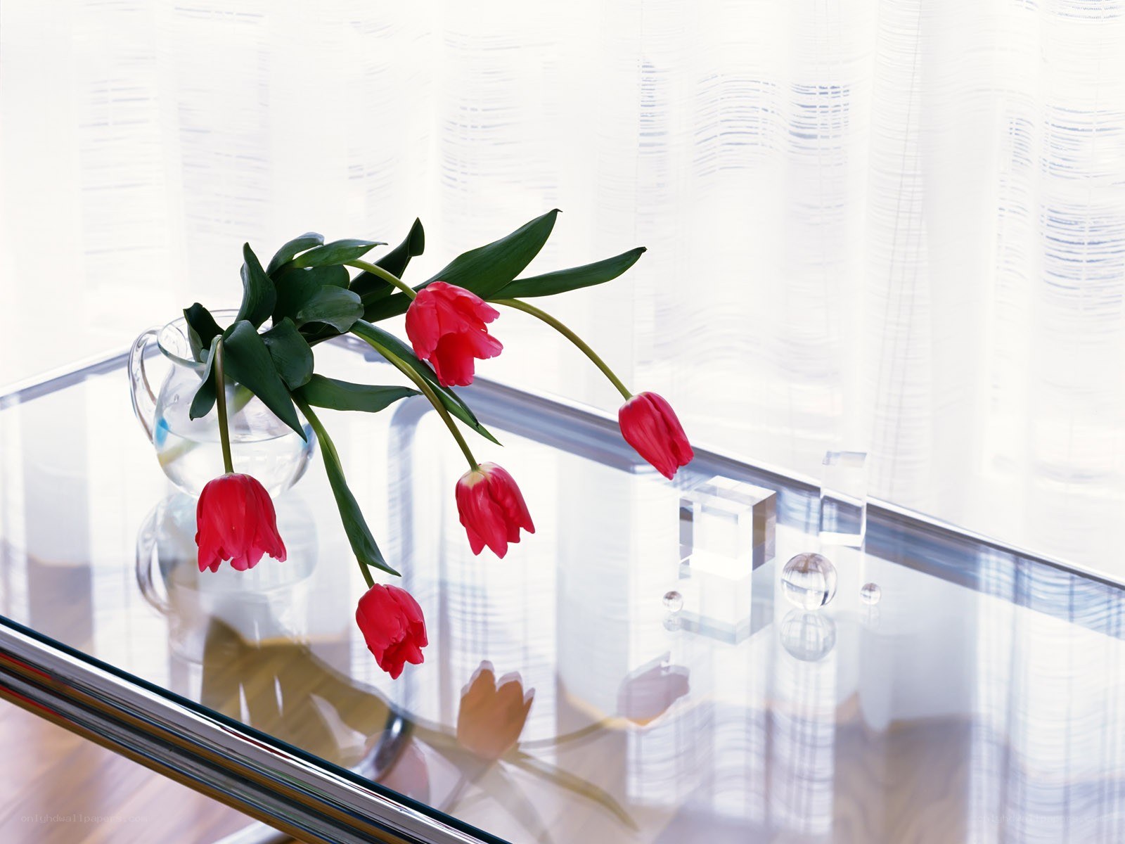 Red tulips on glass table