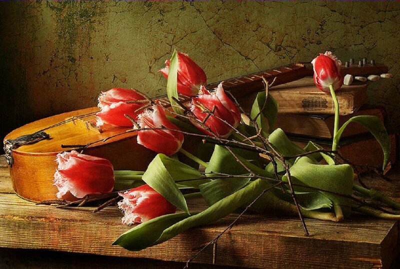 Red Tulips on Guitar