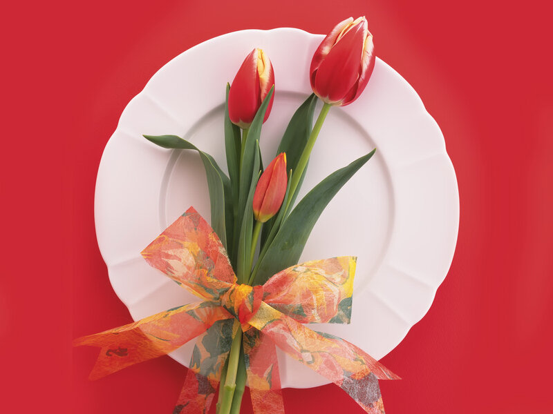Red Tulips on Plate
