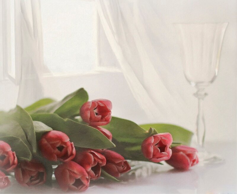 Red Tulips on Table — Serene