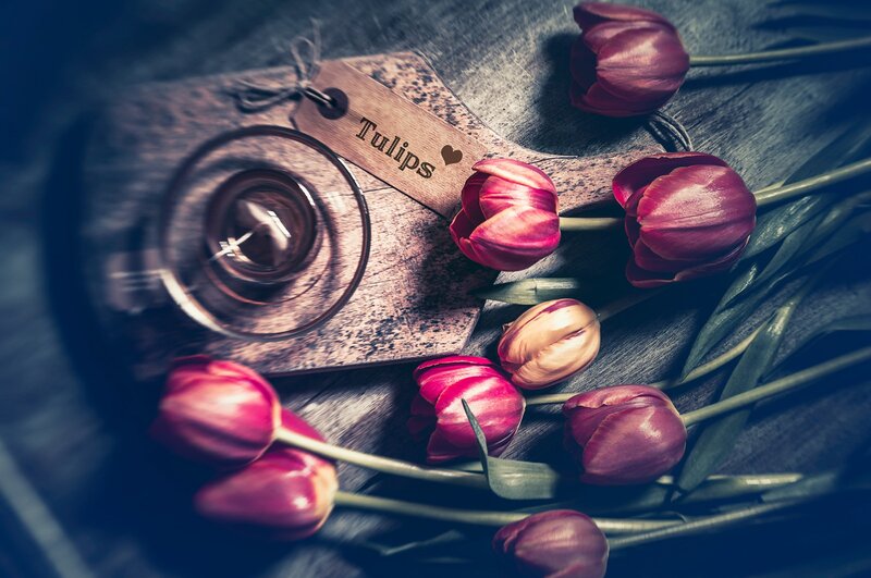Red Tulips on Wood — Dramatic, Photograph