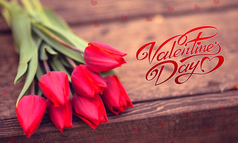 Red Tulips on Wood — Romantic