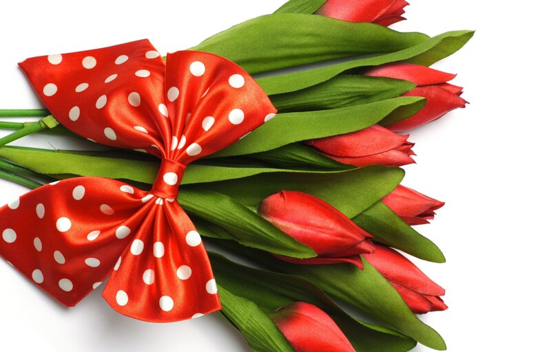 Red Tulips with Bow