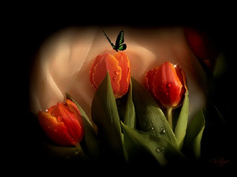 Red Tulips with Butterfly