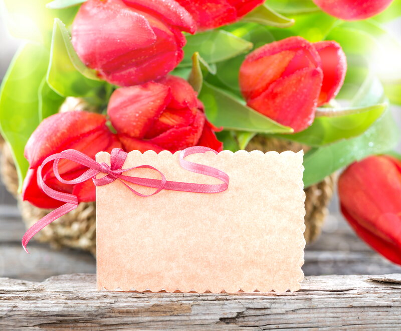 Red Tulips with Card — Serene