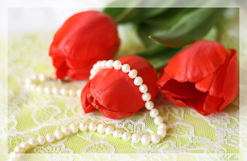 Red Tulips with Pearls — Calm